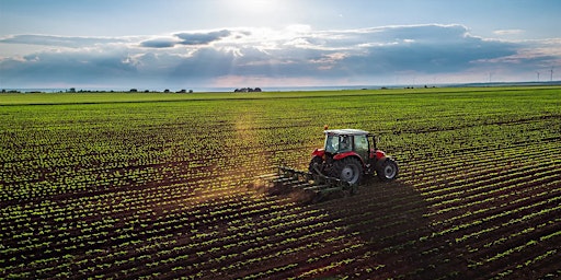 Immagine principale di The First International Post COVID-19 Conference on Food Security 