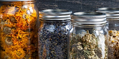 Hauptbild für Herbal Pathways: Cultivating Connection with Plant Medicine