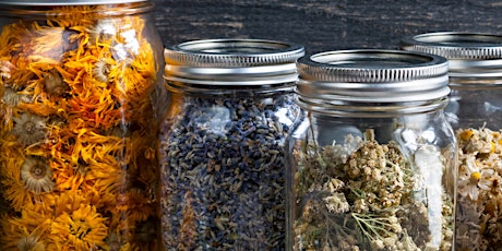 Herbal Pathways: Cultivating Connection with Plant Medicine