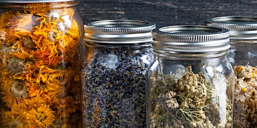 Hauptbild für Herbal Pathways: Cultivating Connection with Plant Medicine