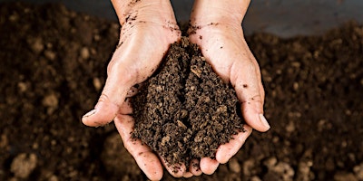 Imagem principal do evento Regenerating Your Soil: How Living Soil Gives Us Nutrient Dense Food