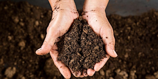Primaire afbeelding van Regenerating Your Soil: How Living Soil Gives Us Nutrient Dense Food