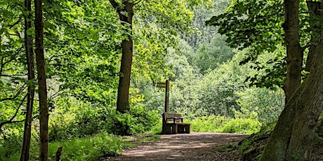 Wellesley Woodlands Health Walk - Wharf Plantation