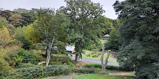 Hauptbild für Help & Enjoy Local Park - Green