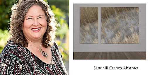 Hauptbild für OVCC PRESENTS:  LISA LANGELL:  PHOTOGRAPHING ABSTRACTS