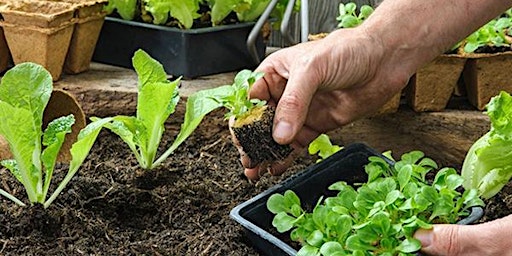 Primaire afbeelding van Gardening 101