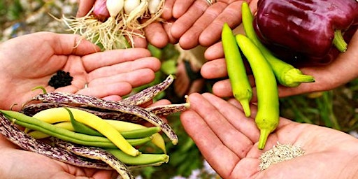 Hauptbild für Seed Saving Basics