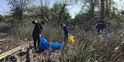 Immagine principale di BMS 2024 Earth Day Watershed Clean-up Event 