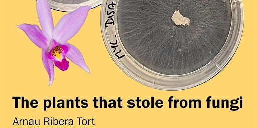 On Demand: Arnau Ribera Tort | The Plants That Stole From Fungi primary image