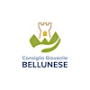 Logotipo da organização Consiglio Giovanile Bellunese