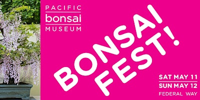 BonsaFest! primary image