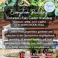 Imagen principal de Ecosystem Building: Terrarium / Fairy Garden Workshop