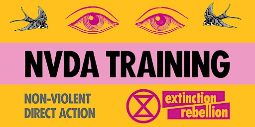 Primaire afbeelding van Non-Violent Direct Action Training - Extinction Rebellion Ireland