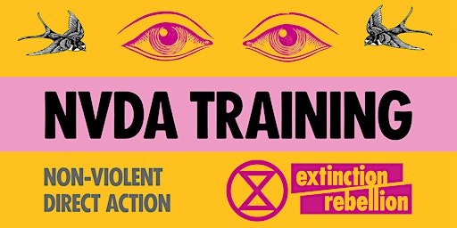 Imagen principal de Non-Violent Direct Action Training - Extinction Rebellion Ireland