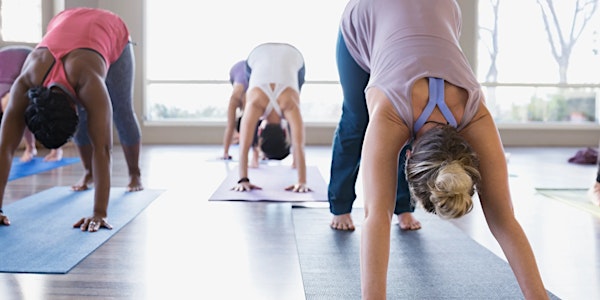 Rasa Yoga Cliffs Notes to Yoga-Beginner's Series