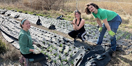 Earth Day Sip and Plant at Real Food Farm