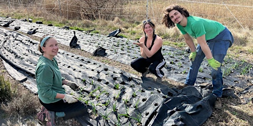 Earth Day Sip and Plant at Real Food Farm  primärbild