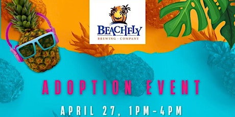 Imagem principal de Touch of Grey Rescue Adoption Event @Beachfly Brewing Company