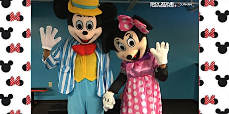 Mickey & Minnie's Sky Zone Spectacular