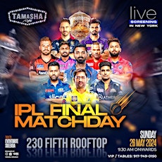 NYC IPL FINALS WATCH PARTY ON BIG SCREEN @230 FIFTH ROOFTOP