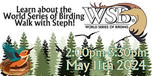 Imagem principal do evento World Series of Birding - Introductory Walk