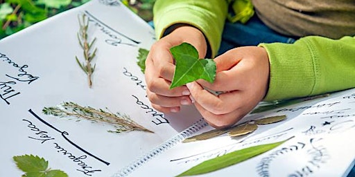 Immagine principale di IN-GALLERY | Weekend Workshop: Intro to Nature Journaling: Pictures & Words 