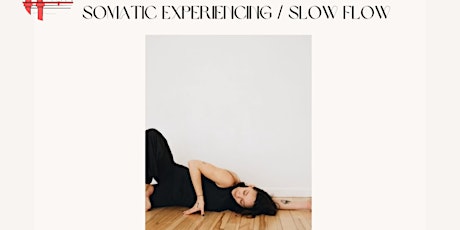 Somatic Experiencing/Slow Flow