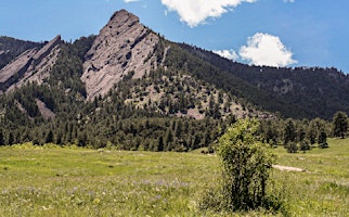 Biodiversity Walk: Biodiversity Within Changing Times and Climates primary image