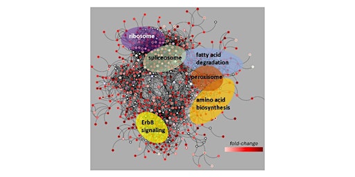 Manitoba Centre for Proteomics and Systems Biology - 20th anniversary primary image