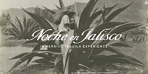 Noche en Jalisco Tequila Experience primary image