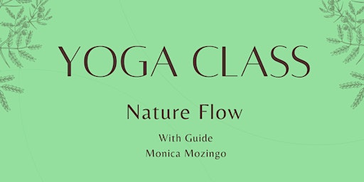 Nature Flow Yoga primary image