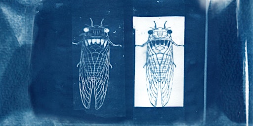 Imagem principal de Cyanotype workshop