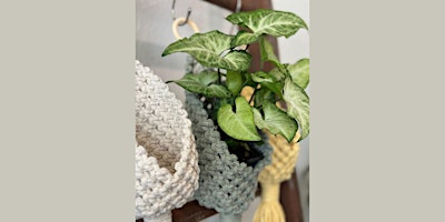 Primaire afbeelding van Macrame Plant Pod Workshop