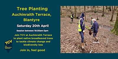 Imagem principal do evento Tree Planting at Auchinraith Terrace