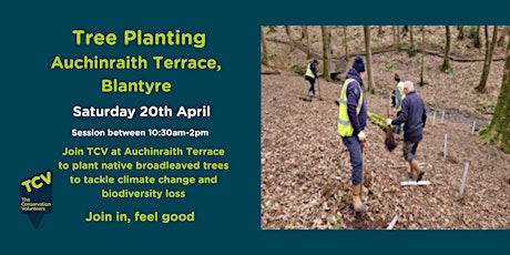 Tree Planting at Auchinraith Terrace