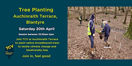 Primaire afbeelding van Tree Planting at Auchinraith Terrace