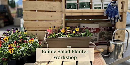 Primaire afbeelding van Edible Salad Planter Workshop at GARDENWORKS Penticton