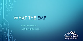 Primaire afbeelding van WHAT THE EMF