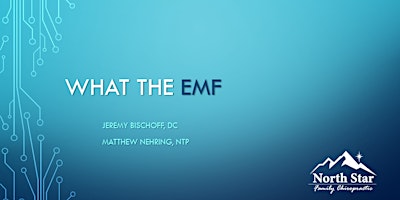 WHAT THE EMF primary image