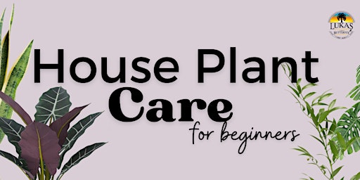 Imagem principal do evento House Plant Care for Beginners