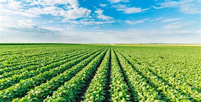 Hauptbild für In person attendance: The importance of evidence and data to hold a spotlight on food systems