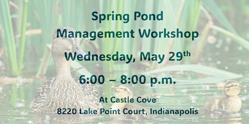 Spring Pond Management Workshop primary image