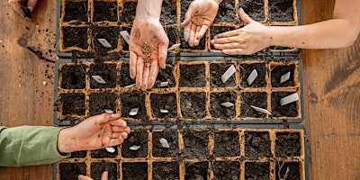 Imagem principal do evento Grow Your Future: Seed Planting with U of M Master Gardeners