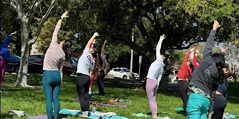 Primaire afbeelding van Yoga in the Park