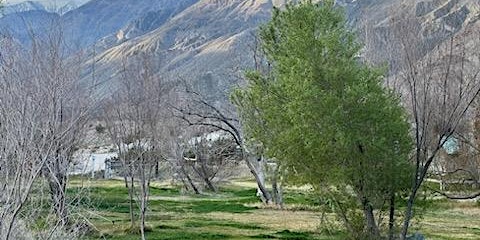 Hauptbild für Retreat Desert Meet Mountain at Saline Valley, Hike Meditate Yoga Ayurveda