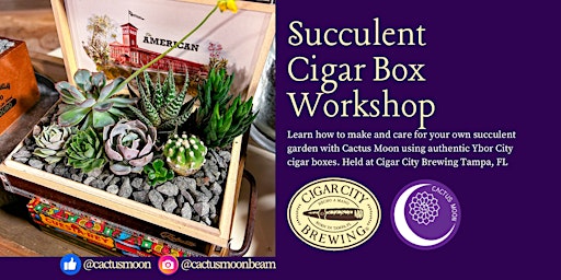 Hauptbild für May 7: Succulent Cigar Box Workshop at Cigar City Brewing