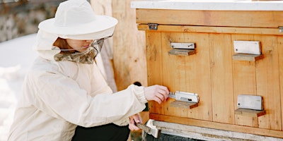 Immagine principale di The Buzz About Bees: Meet a Beekeeper 