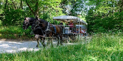 Hauptbild für Carriage Ride, Wednesday May 1