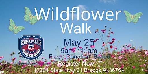 Imagem principal do evento Wildflower Walk