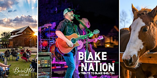 Imagem principal de Blake Shelton covered by Blake Nation / Texas wine / Anna, TX